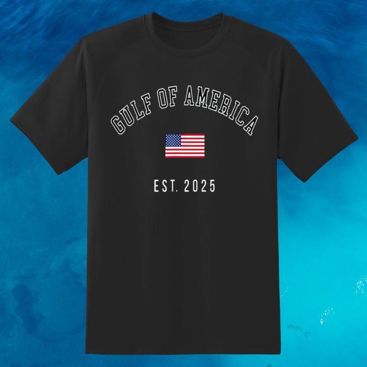 Shirt Shirt